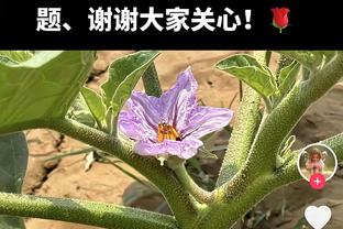 背大锅！普林斯三分13中3得到9分3篮板4助攻